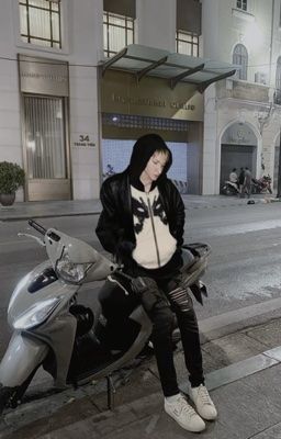 vi may che bo