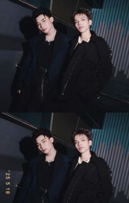 vĩ sơn | fact