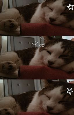 [vicho] ex's hate me