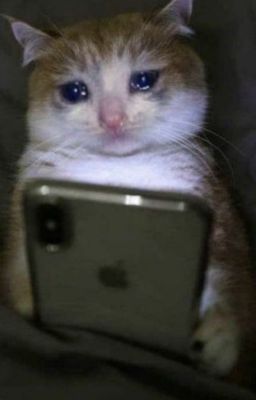 [ Vicho ] Này thằng chồng !!!