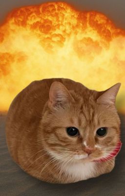 [ Vicho ] Nhà tôi nổ tung rồi !!