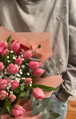 vicho || phản hồi