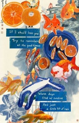 Vihends | Ghì chặt trong lòng