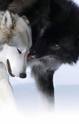 【 Vipeus / ABO 】 Đoạ Thần