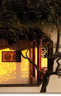 Vọng Hành Đối Vũ