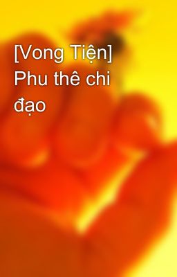 [Vong Tiện] Phu thê chi đạo