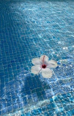 [vtrans] jaemsung | Pool day