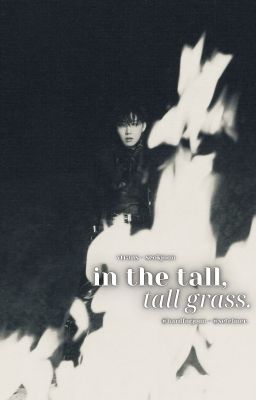 vtrans - seokjoon | In The Tall, Tall Grass