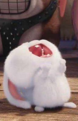Vũ Điệu Trên Dây