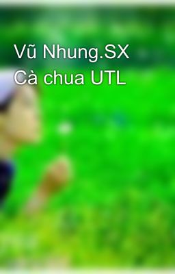 Vũ Nhung.SX Cà chua UTL