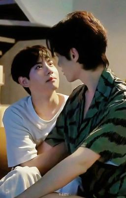 [VŨ SOÁI] ĐỜI THƯỜNG HÓA DỊU DÀNG
