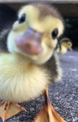 vừa nứng vừa les thì vào đây 