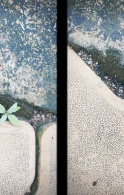 vực thẳm hát vang 