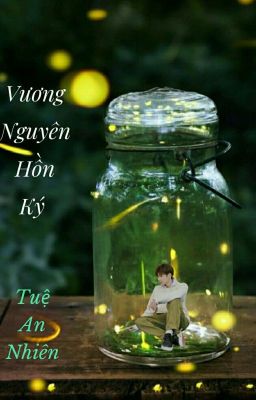 Vương Nguyên Hồn Ký 