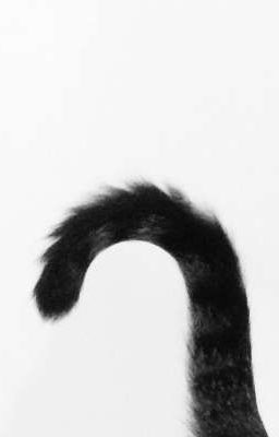 w. 𖦹.˚𝓬𝓪𝓽𝓱𝓾𝓷𝓰𝓰‧₊𓏲 ๋࣭ ࣪ 
