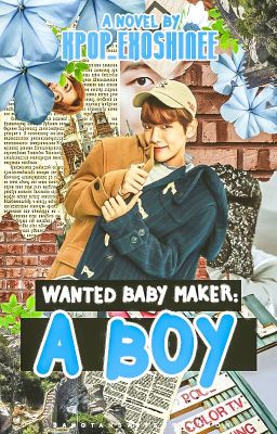 Wanted Baby Maker: A Boy