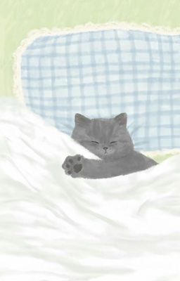 Warm 