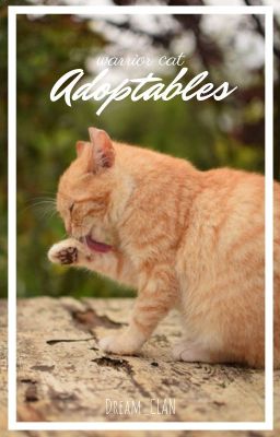 warrior cat adoptables