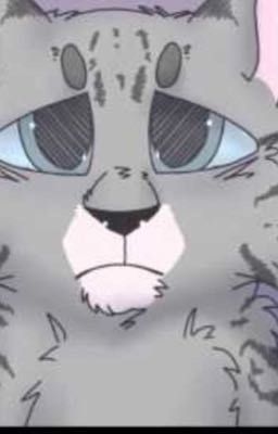 Warrior cat drawings