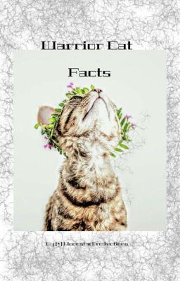 ×warrior cat facts×