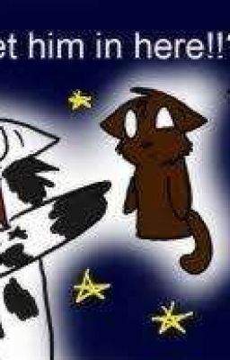 Warrior Cat Facts
