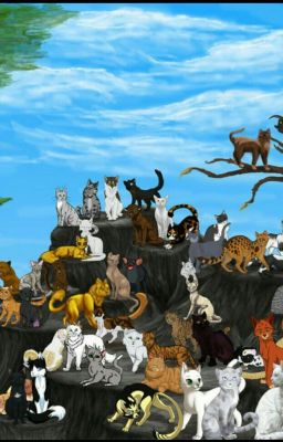 Warrior Cat Look Generator