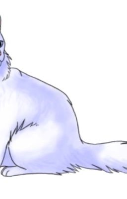Warrior cat name generator