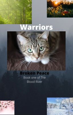 Warrior cats: Broken Peace