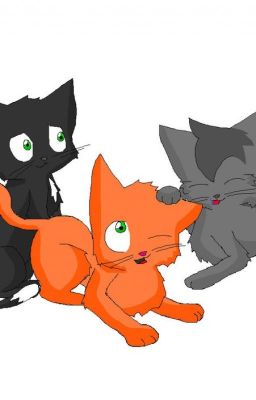 Warrior cats rp