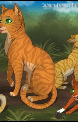 Warrior Cats rpg