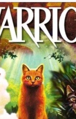Warriors cats adoptable's