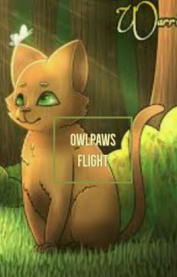Warriors : Owlpaws Flight