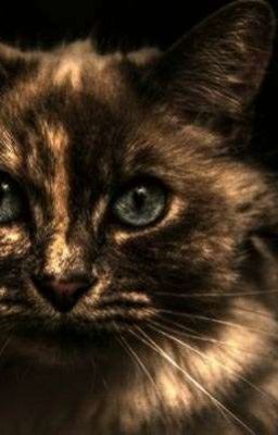 Watching :::UNDER EDITING:::