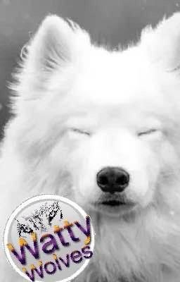 WattyWolves competition Book