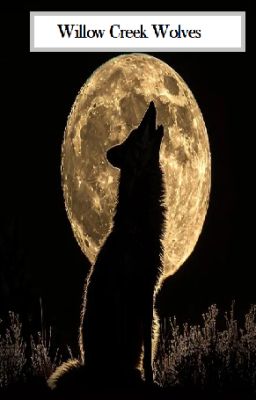 Willow Creek Wolves
