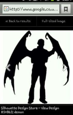 Wings