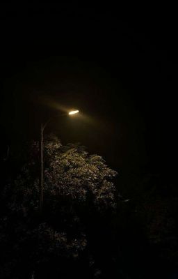 [WINRINA] MƯỜI HAI LẦN