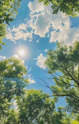 [WINRINA] NGÀY HẠ