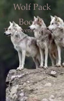 Wolf Pack  Book I The Adventures Begin