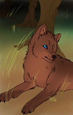 Wolf RP