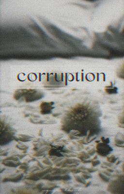 ✔ wonjay  ,̲ corruption | R19