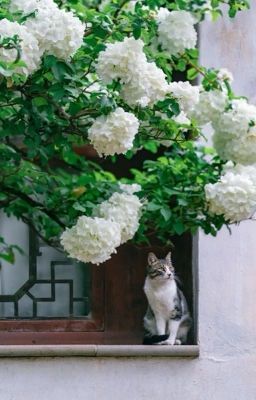 [written | wonhui] untitled