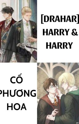[X][HP/DH] Harry Và Harry