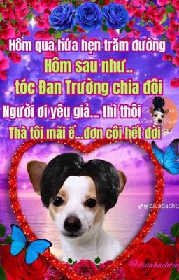 xóm biển|onran