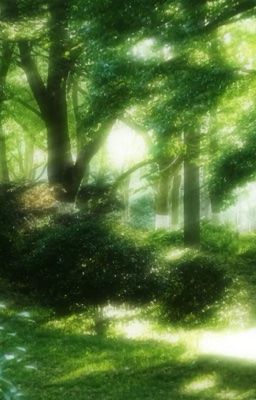 [xuân] ohryul • if not now, when?