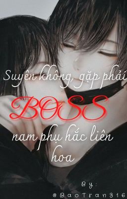 Xuyên không, gặp phải BOSS  nam phụ Hắc Liên Hoa