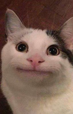 Xuyên Không - Tôi Trở Thành Phản Diện Độc Ác Bị Dồn Vào Đường Cùng