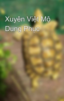 Xuyên Việt Mộ Dung Phục