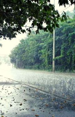 [ Yandere,Xuyên không,tâm lí] (H×H)Góc phố có một cô gái nhỏ