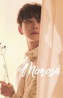 • Yoonhong • Mimosa